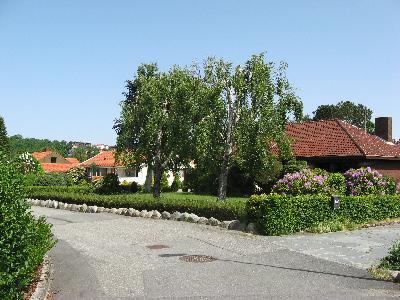 IMG_2568
