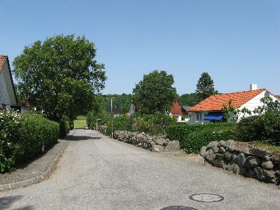 IMG_2580