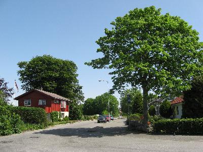 IMG_2602