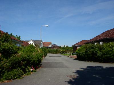 DSCN0773